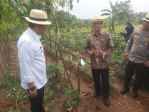 Lihat Potensi Pertanian, Menteri Yandri Susanto Kunjungi Desa Sodong