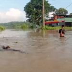 Waspada Banjir Musiman, 10 Tips Persiapan untuk Setiap Keluarga
