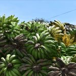 Apa itu Karbit, Sering Digunakan Untuk Mempercepat Pematangan Buah
