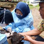 Waspada, Hasil Uji Lab Ratusan Ayam Mati  di Cigeulis Positif Flu Burung