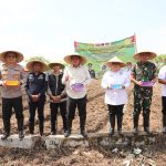 Pemkab Tangerang Bersama Polresta Tangerang Lakukan Gerakan Tanam Jagung Hibrida dan Serahkan Bantuan Traktor
