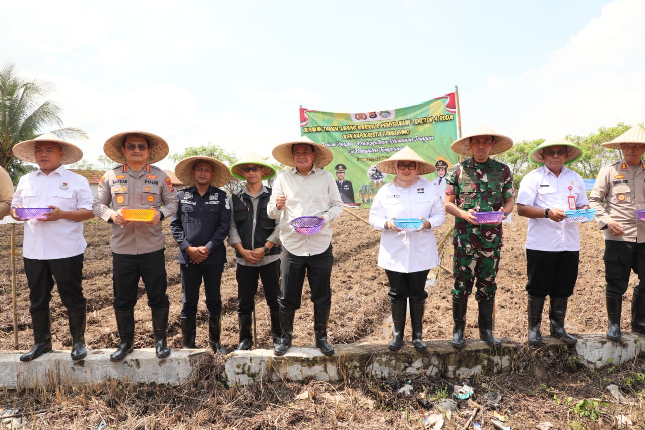 Pemkab Tangerang Bersama Polresta Tangerang Lakukan Gerakan Tanam Jagung Hibrida dan Serahkan Bantuan Traktor