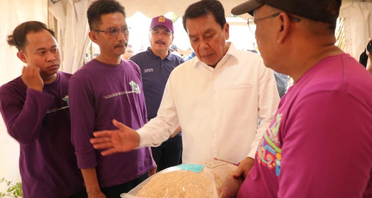 Bupati Tangerang Tangerang Agro Festival Dorong Inovasi Pertanian dan Kemandirian Pangan