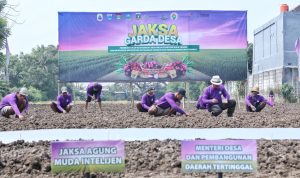 Wujudkan Kemandirian Pangan dan Jaga Desa, Kejagung Inisiasi MoU Antara Tiga Pemkab, Pelaku Usaha, Civitas Akademika