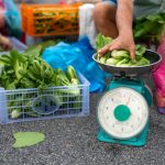 Sayur Caisim Tak Bercerita, Tiba-Tiba Harganya Loncat Rp20 Ribu Per Kilogram di Pasaran