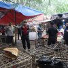 Polresta Tangerang Gerebek Judi Sabung Ayam di Jayanti, Dua Orang dan 28 Unit Motor Diamankan