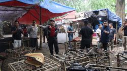 Polresta Tangerang Gerebek Judi Sabung Ayam di Jayanti, Dua Orang dan 28 Unit Motor Diamankan