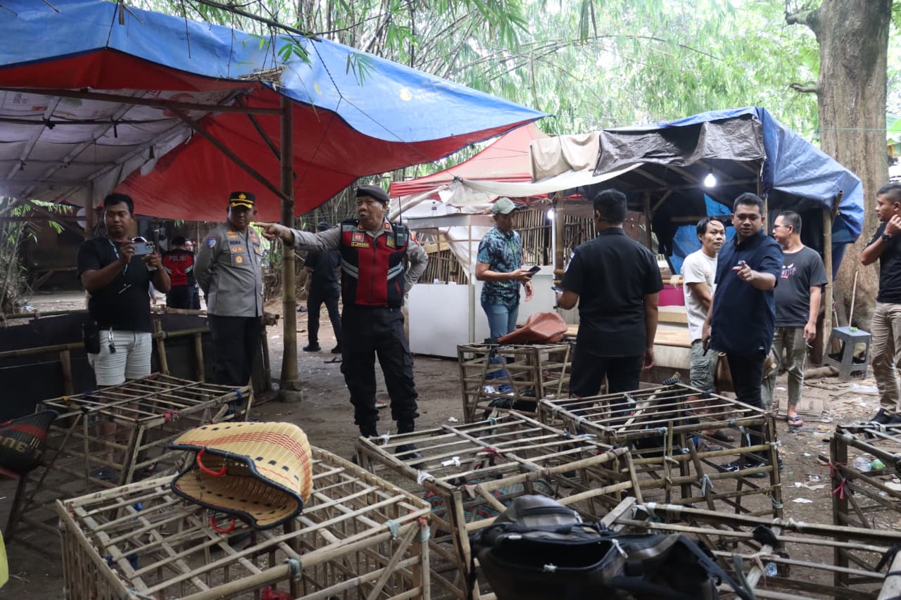 Aparat Polresta Tangerang menggerebek praktik judi sabung ayam di Desa Pabuaran, Kecamatan Jayanti, Kabupaten Tangerang. Minggu, 10 Mei 2026.