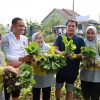 Ketahanan Pangan Jadi Fokus Utama, Bupati Tangerang Pastikan Dukungan Penuh
