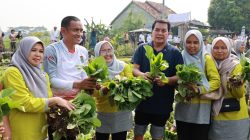 Ketahanan Pangan Jadi Fokus Utama, Bupati Tangerang Pastikan Dukungan Penuh