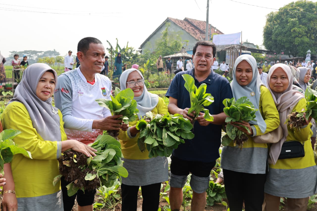 Bupati-Tangerang-Moch.-Maesyal-Rasyid saat memanen hasil pertanian bersama masyarakat di Desa Mekar Jaya Kec. Sepatan. Jumat 8 Mei 2026.
