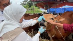 Iduladha Momen Berkurban Demi Mewujudkan Ketaatan