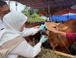Iduladha Momen Berkurban Demi Mewujudkan Ketaatan