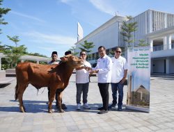 YMSML Salurkan 482 Hewan Kurban untuk Masyarakat di Berbagai Wilayah Indonesia