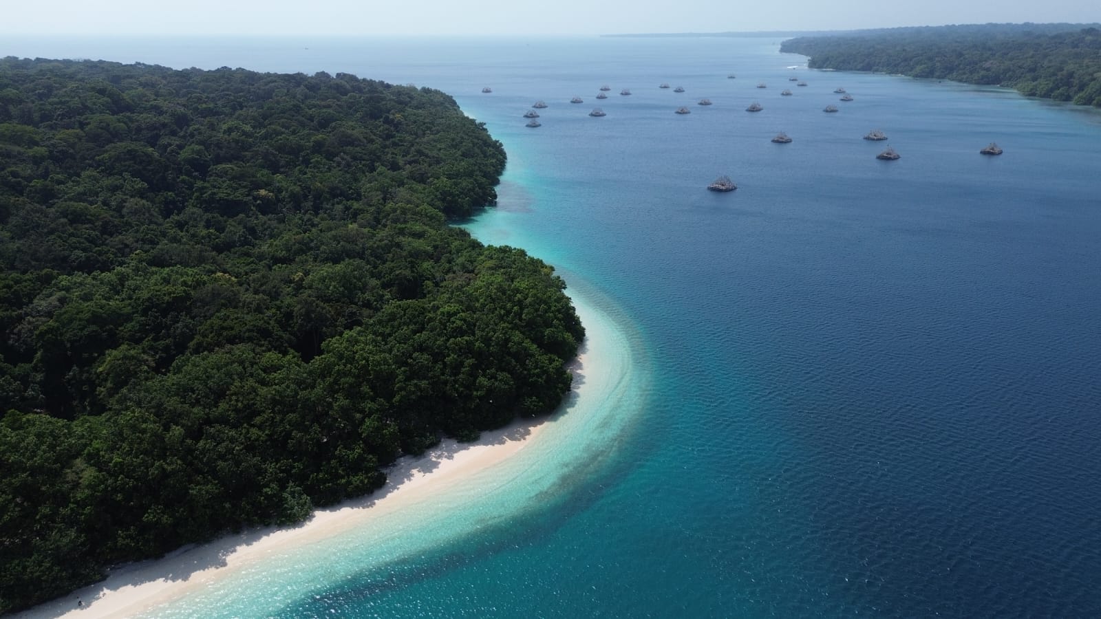 Pesona Taman Nasional Ujung Kulon Mendunia, Dispar Banten Promosikan Pulau Peucang hingga Panaitan