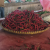 Harga Cabai Melonjak di Pasar Gudang Tangerang, Rawit Merah Tembus Rp85 Ribu