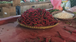 Harga Cabai Melonjak di Pasar Gudang Tangerang, Rawit Merah Tembus Rp85 Ribu