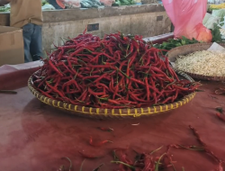 Harga Cabai Melonjak di Pasar Gudang Tangerang, Rawit Merah Tembus Rp85 Ribu