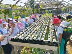 BLK Kota Tangerang Buka Pelatihan Hidroponik Gratis, Pendaftaran hingga 19 Oktober