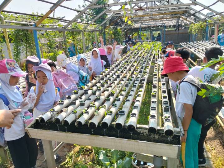 BLK Kota Tangerang Buka Pelatihan Hidroponik Gratis, Pendaftaran hingga 19 Oktober BLK Kota Tangerang Buka Pelatihan Hidroponik Gratis, Pendaftaran hingga 19 Oktober