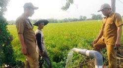 Kekeringan Ancam 667 Hektare Sawah, Pemkab Tangerang Salurkan Bantuan Pertanian
