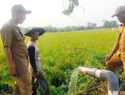 Kekeringan Ancam 667 Hektare Sawah, Pemkab Tangerang Salurkan Bantuan Pertanian