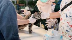 Pemkot Tangerang Buka Vaksinasi Rabies Gratis untuk 50 Hewan, Catat Jadwalnya