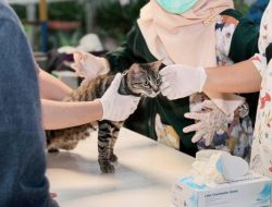 Pemkot Tangerang Buka Vaksinasi Rabies Gratis untuk 50 Hewan, Catat Jadwalnya